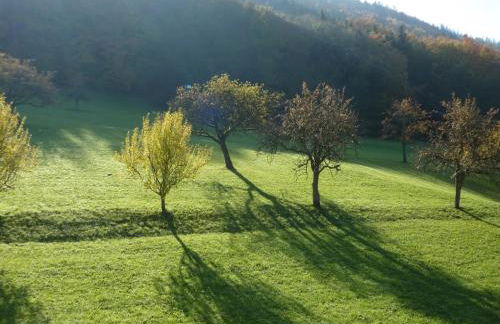 Ferienwohnung Moog - Foto 13