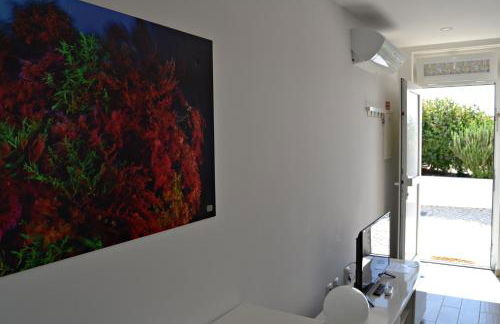 Cerca da Vitoria 3 Milfontes - Photo 21