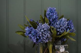 Fox Corner - Foto 19