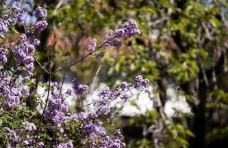 Zeusplace Magic Pool Villa - Foto 17