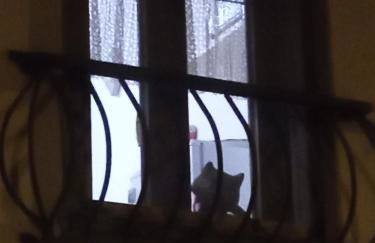 Alloggio Turistico di Patrizia - Foto 8