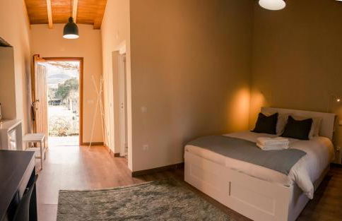 Quinta-lina de serpins - Foto 26