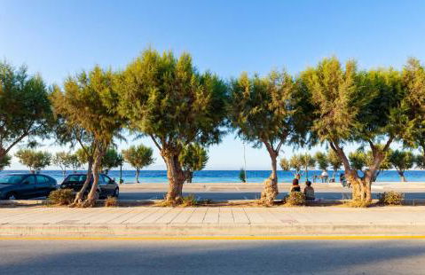 CHAMBRE JAUNE - Foto 40