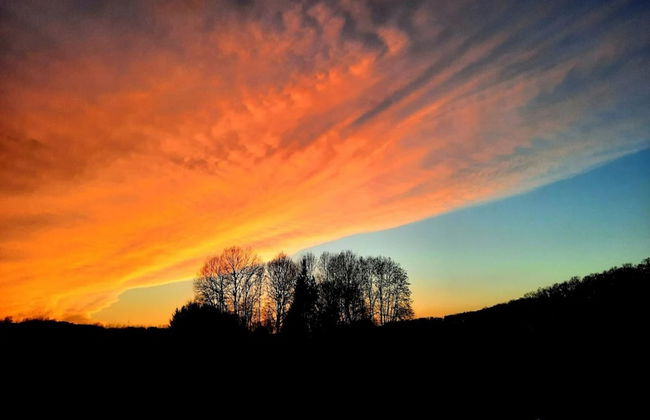 Ferienwohnung in Bissendorf - Foto 29