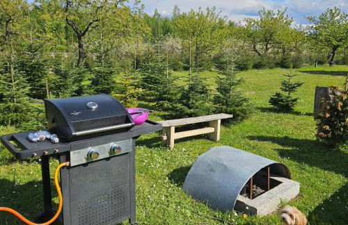 Sielski Dom I Sauna i Jacuzzi dodatkowo płatna opcja - Foto 30