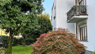 Studio8 - Foto 2, Garden, Garden view