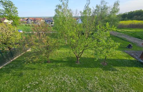 Apartman MAGDALENA - Foto 24