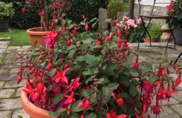 Haus Seidl - Foto 52