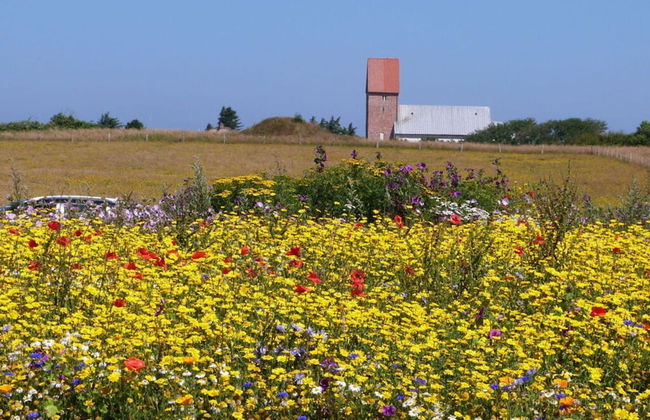 Schatz Comfortable Holiday Residence - Foto 15