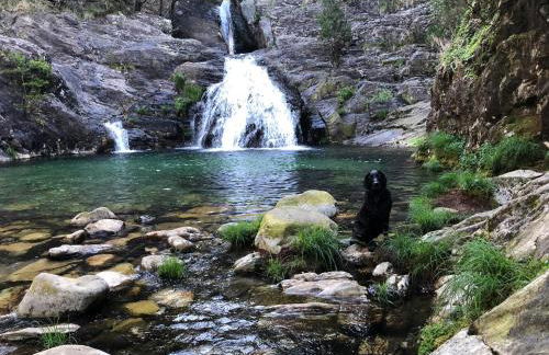 Casa Beira Rio - Foto 11