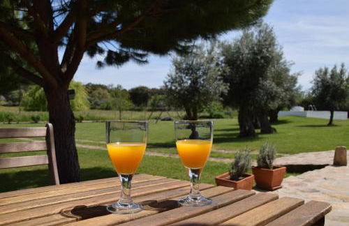 Casinhas da Póvoa- Turismo Natureza - Foto 47