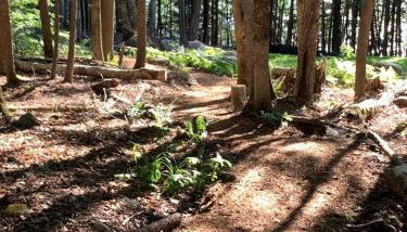 Hidden Gem on Golden Pond - Foto 3