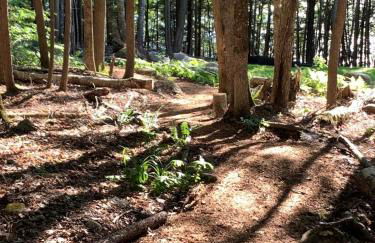 Hidden Gem on Golden Pond - Foto 3