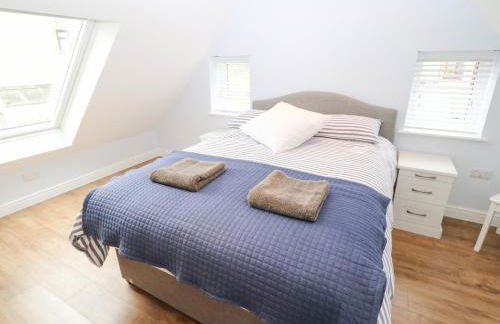 One Dolfor - Photo 13