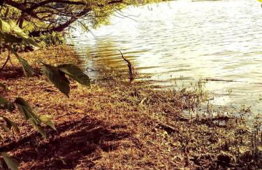 Cozy Wood Shed Tiny House Near Old Hickory Lake w/ Full Kitchen, Fire Pit & Breakfast - Foto 53