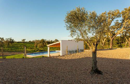 Cerro da Campaniça - Foto 31