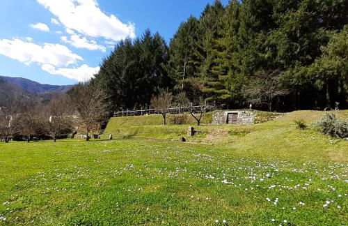 Il Bosco di Campo Marzano green & sky - Foto 54