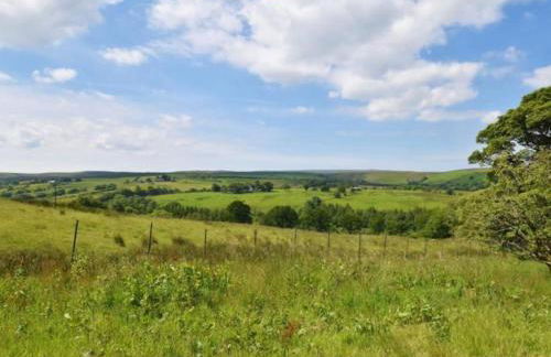 Swans Farm - Foto 34