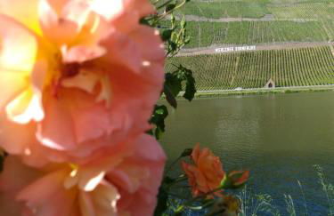 Ferienwohnungen und Gästezimmer Peter Busch - Foto 16