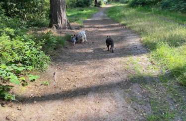 Studio Apartment - Photo 20