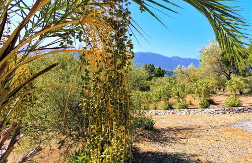 Casa Mamà - Foto 25