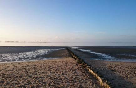 Haus am Deich - Photo 53