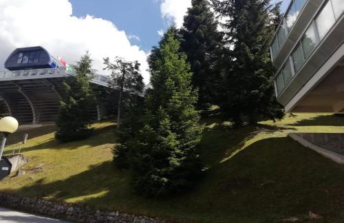 Vetrate sul bosco - Foto 9