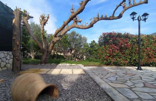 Iliachtides Villas - Foto 35