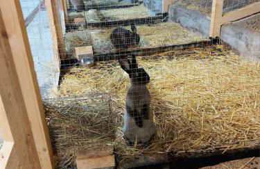 Ferienwohnung auf Hof Santangelo - Foto 20