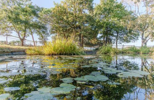 Más Figueres - Foto 42