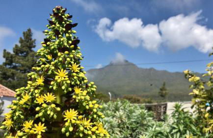 Casita La Rosa - Foto 48