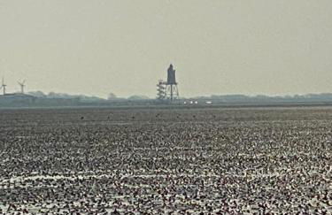 Ferienwohnung am Deichweg - Foto 23