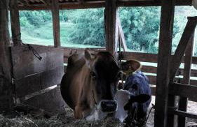 Acomodação do Viveiro Bela Flor - Photo 35