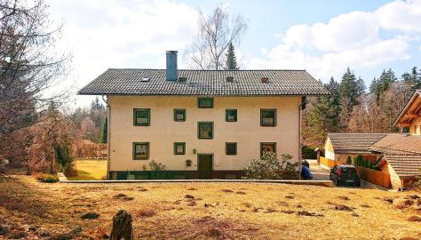 Arber Apartments - Zwieslerwaldhaus - Foto 5