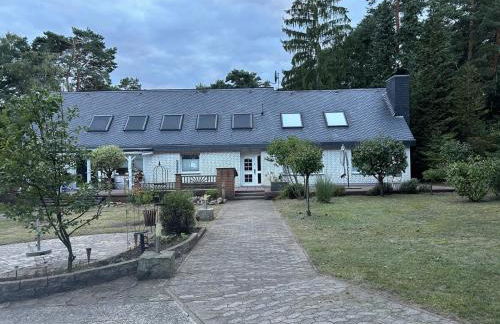 Strandnaher Urlaub mit Hund am Steinhuder Meer - Foto 2