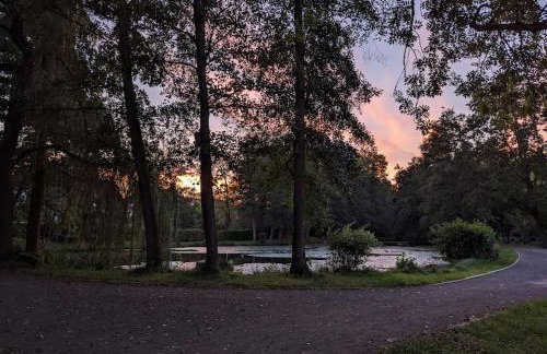 Welcome in Weilerbach - Foto 16