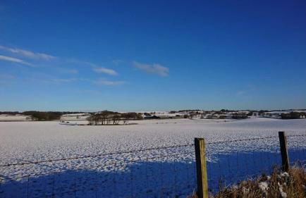 The Haven Cottage - Foto 16