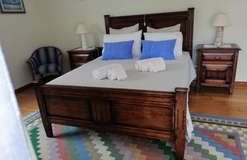 Casa Loureiro - Vista Rio Douro - Foto 21