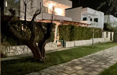 Villa Rubino - Foto 20