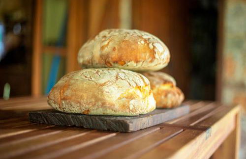 Rural Médulas Viviendas de uso turistico 2 y Casas rurales 2 - Foto 28