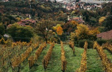 Polisena L'Altro Agriturismo Veg - Foto 55
