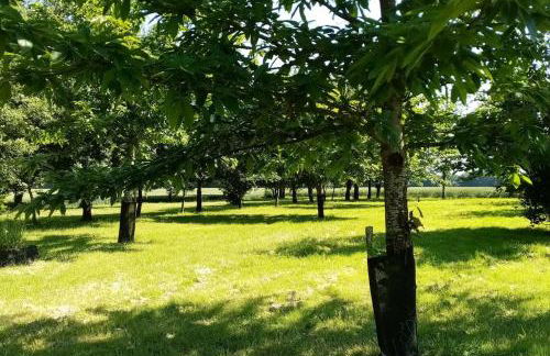 Calme et sérénité au gîte des hortensias - Foto 20