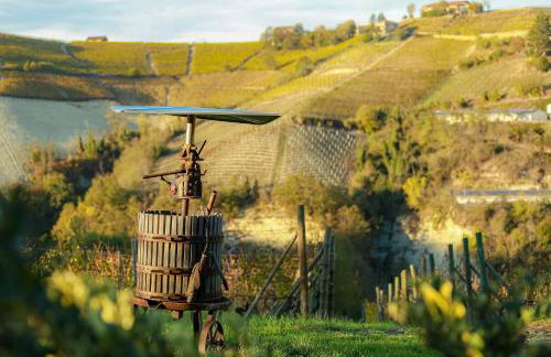 Cadgal - Tenuta Valdivilla - Photo 5