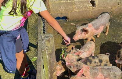 Hotel Fazenda Rancho Mineiro - Foto 78