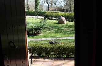 Agriturismo IL CASTAGNETO - Foto 31