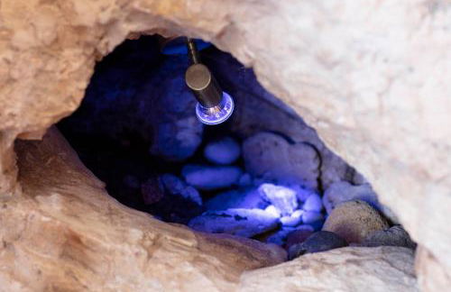 Anemos Studio - Foto 120