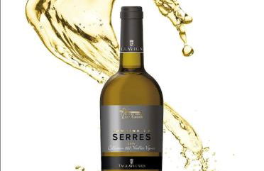 MAS DES VIGNES - View Cité de Carcassonne - Foto 34