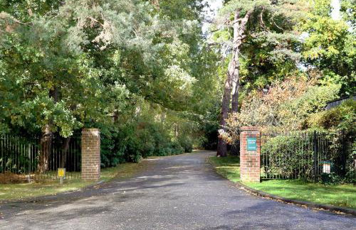 6 Fulmer Chase - Foto 13