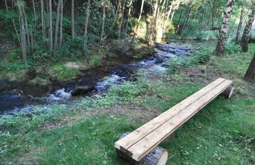 Nad Potokiem z Alpakami - Foto 38