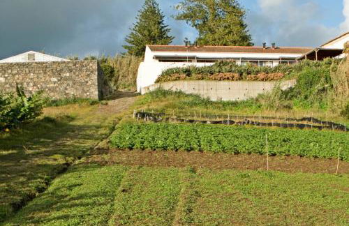 QVA - Quinta Velha das Amoreiras - Photo 7